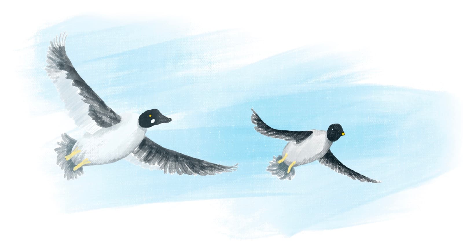 Remote IT Mentoring: My Schema for Effective Collaboration