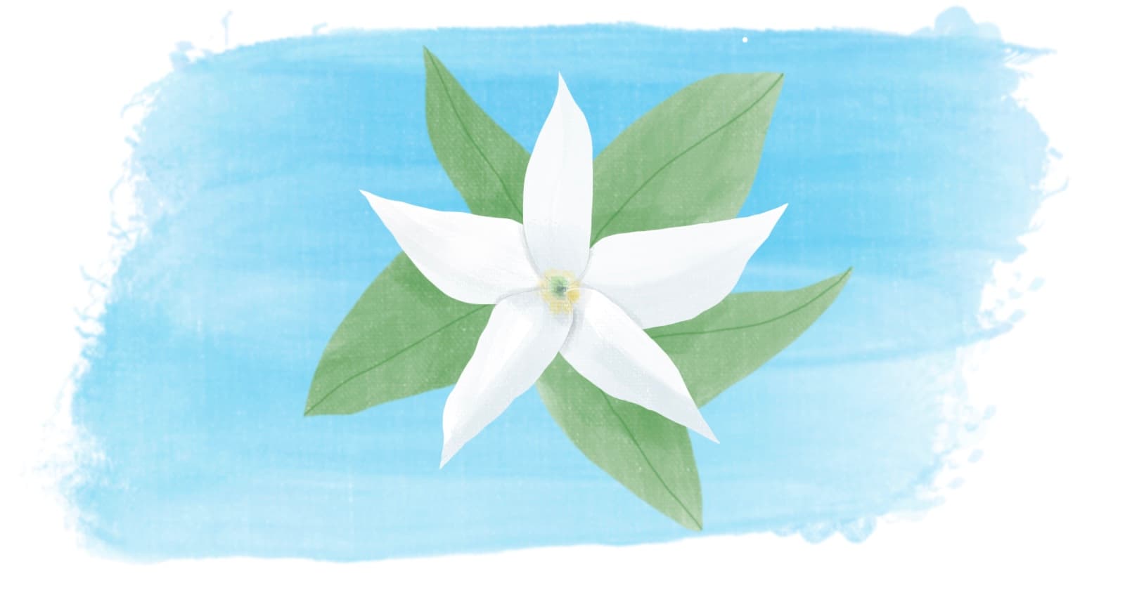 How to Start Unit Testing with Jasmine