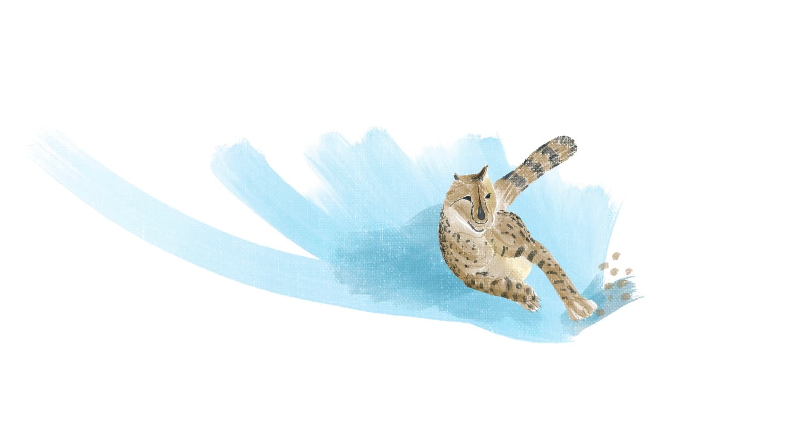 How to Become a Faster Programmer