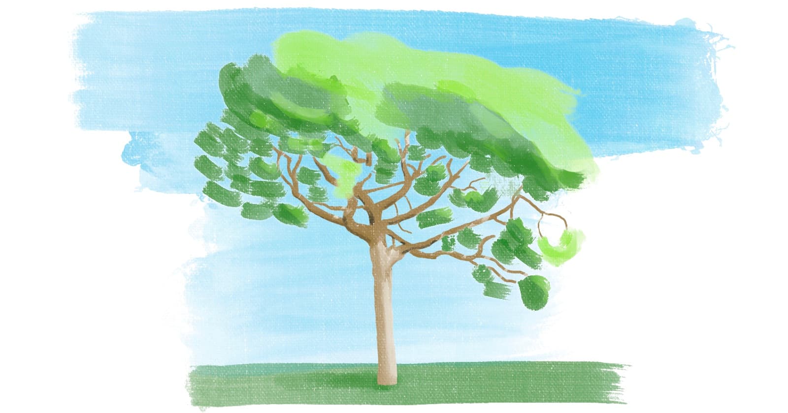 How to display Git branches easily as a tree in CLI