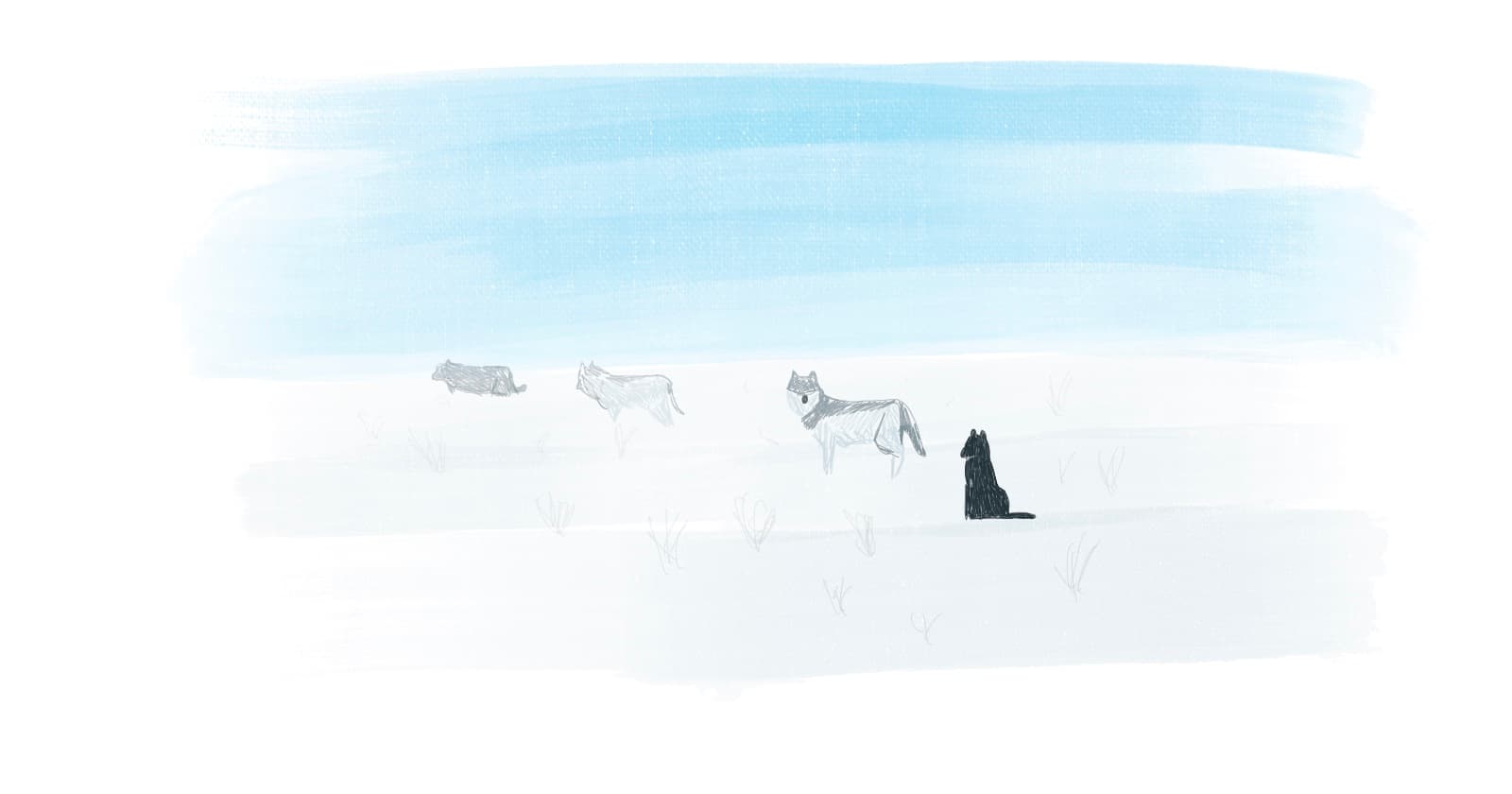 Beginner Programmer’s Guide to Using Git in a Team