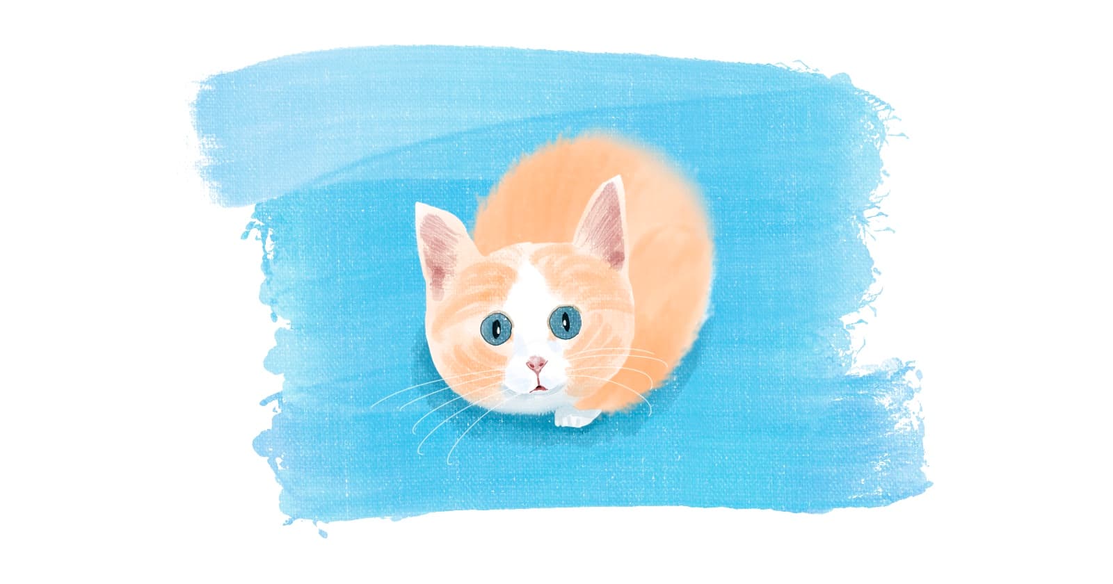 What Tech Newbies Need According to Industry Insiders