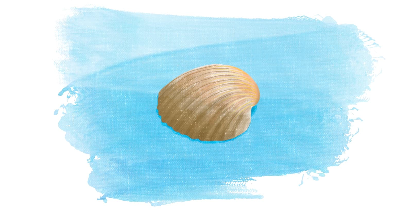 Why do developers use shell?