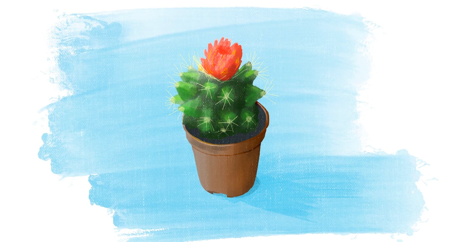 Getting into tech with no IT background: Tips & stories