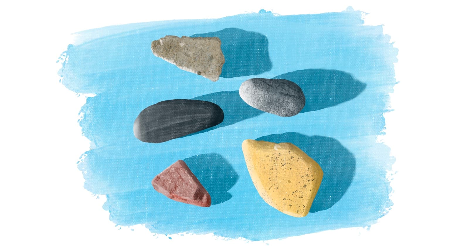 Intro to the Terminal: Basic Commands That Will Help You Get Started