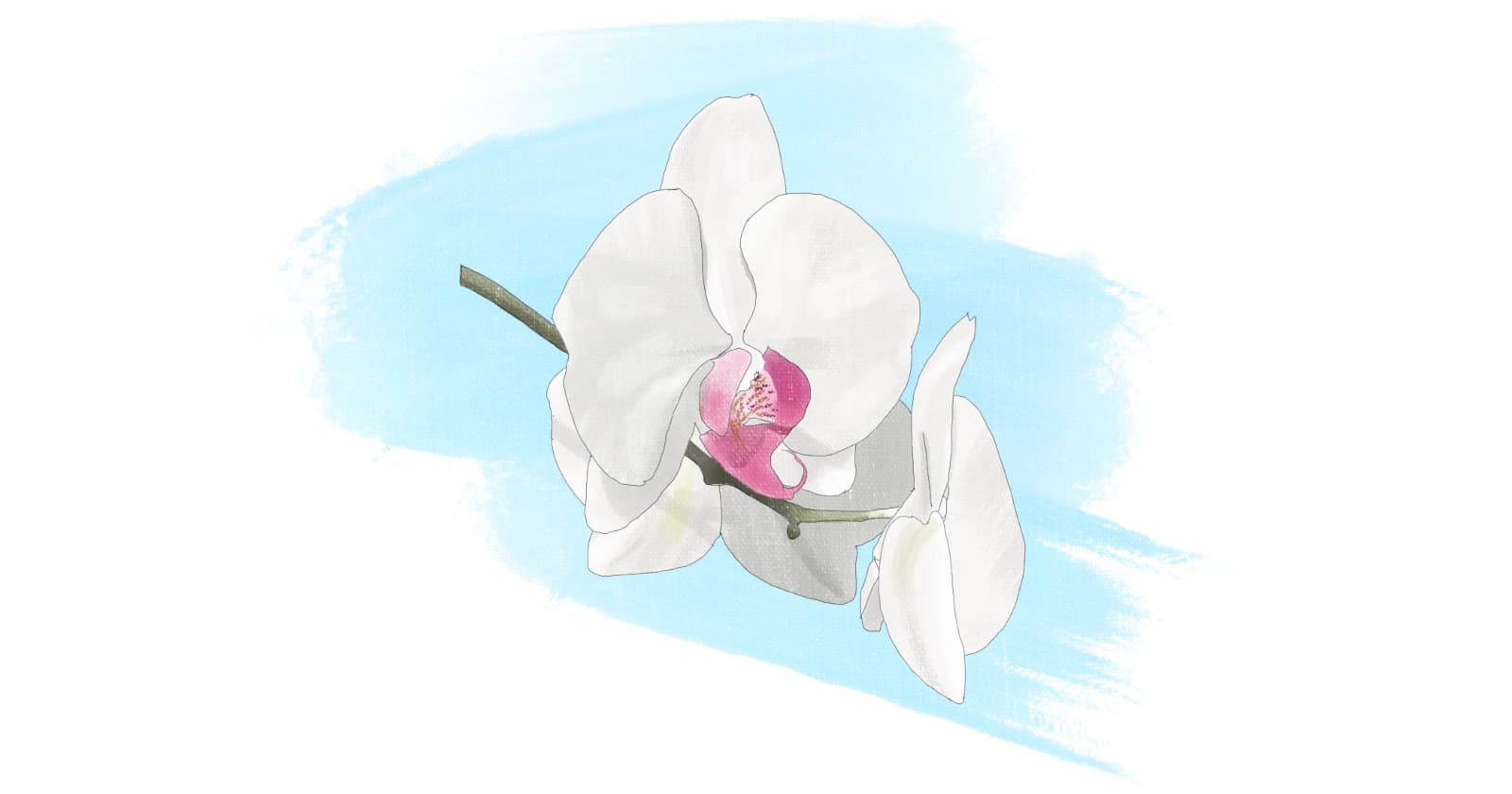 Who is a good match for testing? — An interview with Michał Błaszak